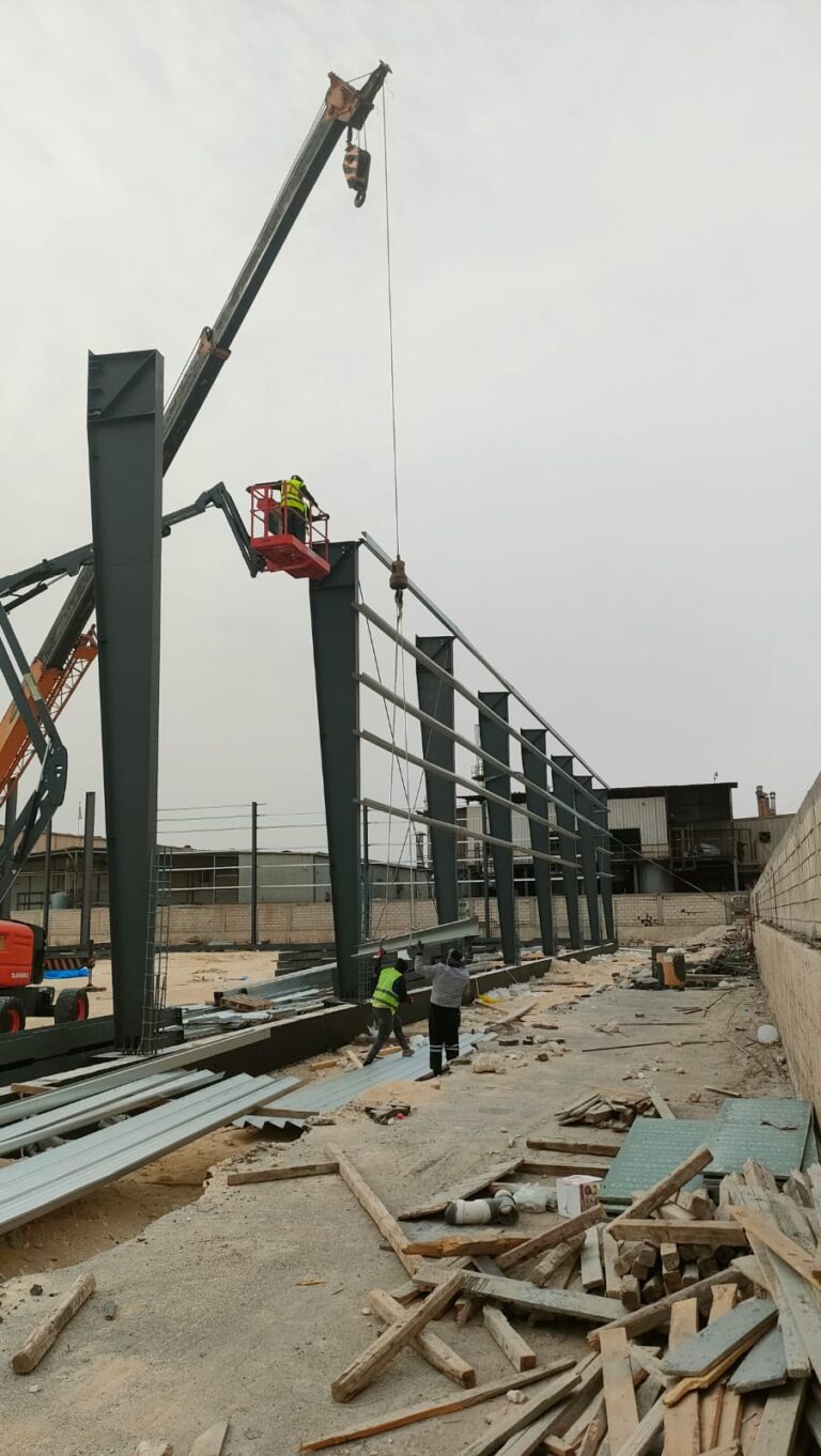 WhatsApp Image 2026 01 24 at 8 32 10 AM 768x1362