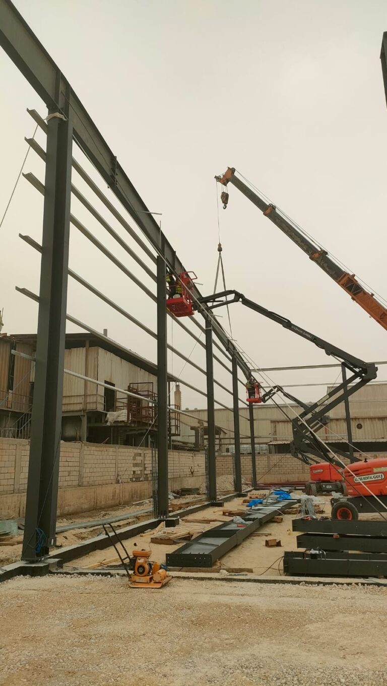 WhatsApp Image 2026 01 25 at 2 17 41 PM 768x1362